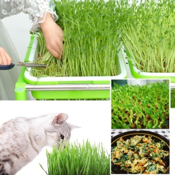 4X ЛОТОК ДЛЯ ПРОРАЩИВАНИЯ СЕМЕНА ТРАВЯНЫХ РАСТЕНИЙ ДЛЯ ДОМА