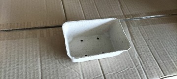 Фруктовые кувшины 0,25 кг 540 шт