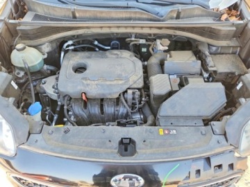 Kia Sportage IV 2019 Kia Sportage 2019 KIA SPORTAGE LX 2.4 Benzyna 181KM, zdjęcie 11