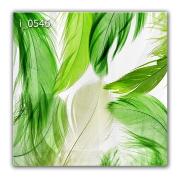 Panel szklany hartowany 60x60 PIÓRA kuchnia szkło