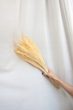 ТРАВА ЛЕСНАЯ СУШЕННАЯ, БЕЛЕННАЯ, сушеные декоративные травы