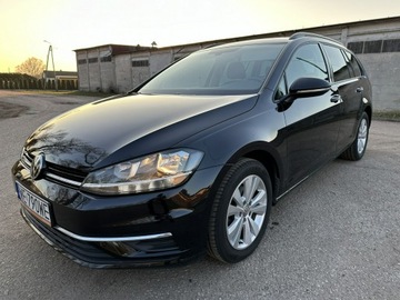 Volkswagen Golf VII Variant Facelifting 1.6 TDI-CR DPF BMT 115KM 2019 Volkswagen Golf VII 1,6 TDI 116 KM Niski Przebieg