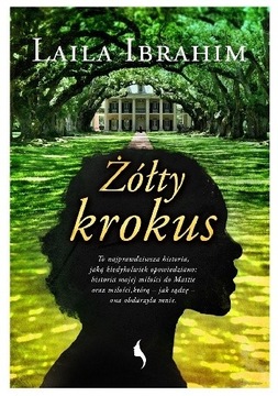 Żółty krokus Laila Ibrahim