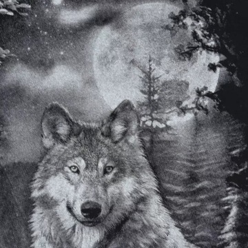 Мужская футболка Wolf Wolf HD размер XXL