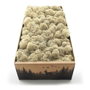 Mech chrobotek fiński 500g netto naturalny