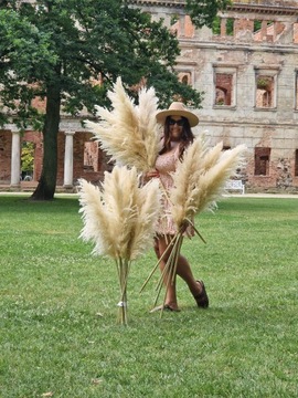 Сушеная пампасная трава премиум-класса для вазы высотой 140 см.