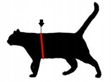 SZELKI dla dużego kota 38-48cm TRE PONTI niebieskie MIĘKKIE oddychające