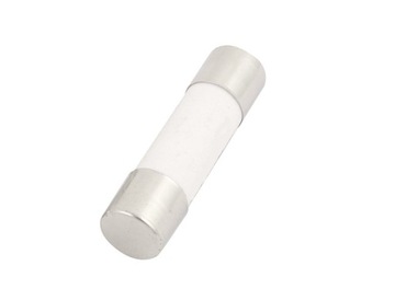ORYGINALNY BEZPIECZNIK 10A ANENG 20mm CERAMICZNY