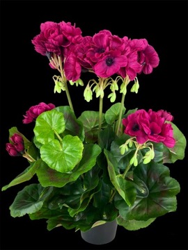 ИСКУССТВЕННАЯ бордовая герань в горшке, как живая.