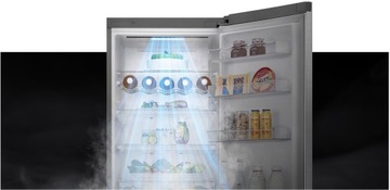 Двухдверный холодильник LG GBB61DSHMN