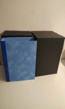 Архивный ящик Esselte для папок x 25