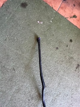 Q7 4l 3.0 TDI кабель adblu 4l0131980 e