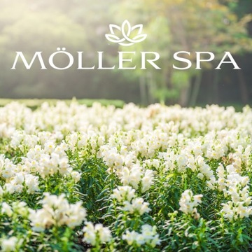 ZAPACH PERFUM JADORE DO DOMU PATYCZKI ODŚWIEŻACZ 250ml DUŻA POJEMNOŚĆ