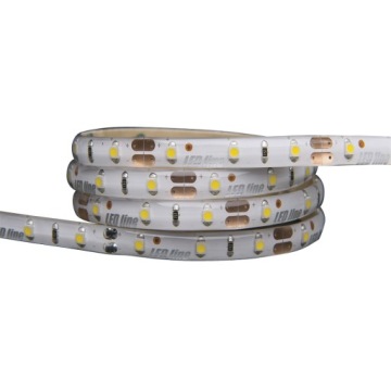 Taśma LED 12V IP20 bez silikonu 24W b.zimna 5m