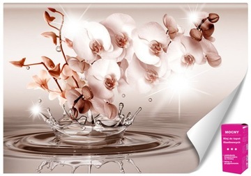 Tapeta 3D Orchidea Fototapety Natura do Salonu