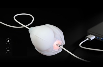 Набор светодиодных шариков Poi с зарядкой через USB, светится ночью LED КРАСИВЫЙ