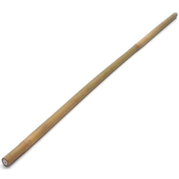 Tyczka Kokos bambus 60 cm x 0,9 mm 1 szt.