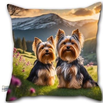 Poduszka dekoracyjna 40x40 / Poduszka z psem / Yorkshire terrier