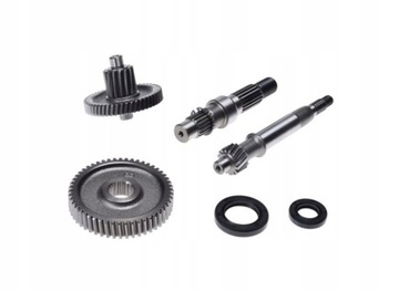 PRZEKŁADNIA TYŁ KPL 4T (WAŁEK 16 z)