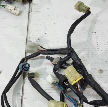 Жгут проводов Yamaha XTX 660 04-12