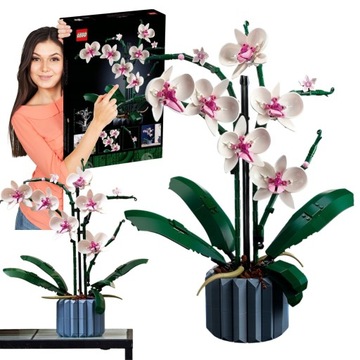 LEGO 10311 Creator zestaw Expert Orchidea STORCZYK