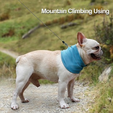 ЛЕТНИЙ ШАРФ ДЛЯ СОБАКИ ЛЕДЯНОЙ ОШЕЙНИК