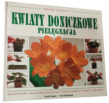 Kwiaty doniczkowe pielęgnacja Squire