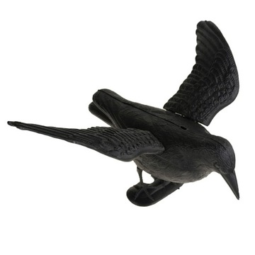 Сырой бойцовский отпугиватель птиц, голубей, выход на балкон.