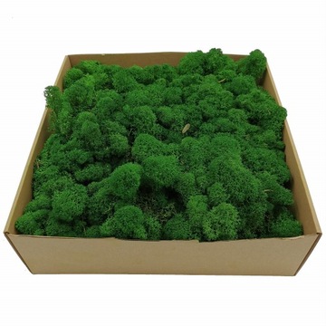 Мох Хроботек - Альпийский - Очищенный - Зеленый 250г НЕТТО