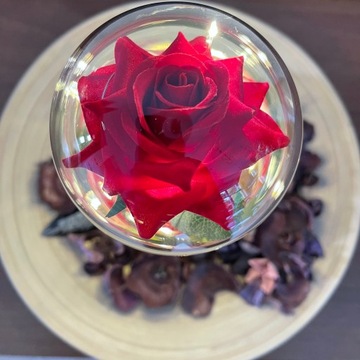 Aurelis Eternal Rose в стекле ПОДАРОЧНЫЙ КРАСНЫЙ светодиод | ПОДАРОК ​​НА ДЕНЬ ВАЛЕНТИНА