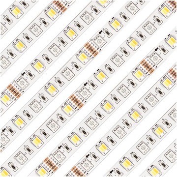 Taśma LED 24W 12V DC 300 SMD 5050/5025 5m RGB CCT Kolorowa Neon Linia Pasek