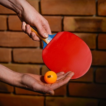 Ракетка для настольного тенниса Ping-Pong Meteor Zephyr