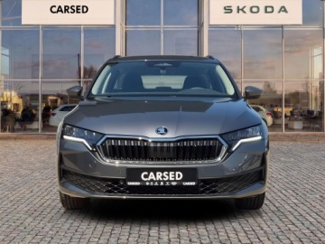 Skoda Octavia IV Kombi 2.0 TDI 150KM 2026 Skoda Octavia Edition 130 Essence 2.0 TDi 150 KM D, zdjęcie 8