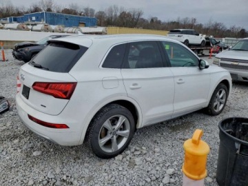 Audi Q5 II 2020 Audi Q5 Premium 2020 2.0l 2.0 Benzyna 248KM, zdjęcie 3