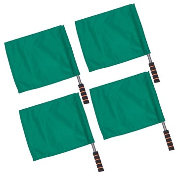 ASYSTENT SĘDZIA SZKOLENIE FLAGI SĘDZIA LINIOWEGO REF