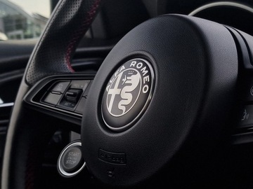 Alfa Romeo Stelvio SUV Facelifting 2.0 Turbo 200KM 2021 Alfa Romeo Stelvio Stelvio 2.0 Turbo Q4 aut 200KM/, zdjęcie 32