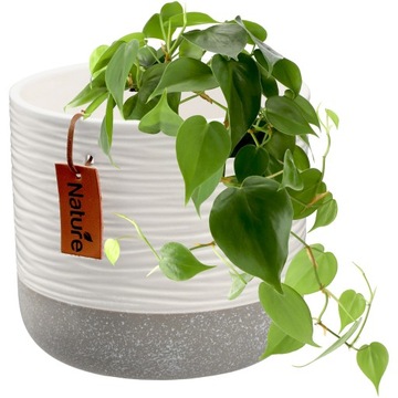 DONICZKA CERAMICZNA 12cm OSŁONKA BIAŁA SZARA