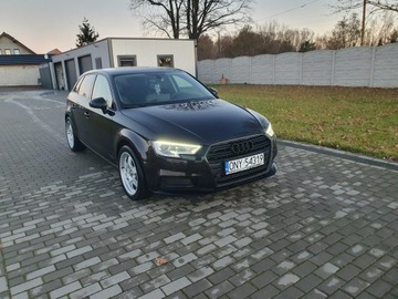Audi A3 8V Sportback 5d Facelifting 2.0 TDI 150KM 2017 Audi A3 Sportback 2.0tdi 150KM S Tronic 2017r, zdjęcie 8