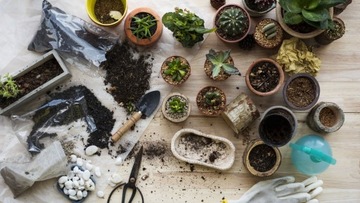 ZIEMIA DO WYSIEWU NASION PIKOWANIA SADZENIA Z WŁÓKNEM KOKOSOWYM 20L