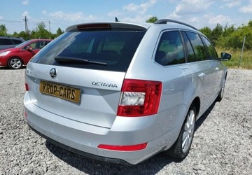 Skoda Octavia III 2017 Skoda Octavia Skoda Octavia 1.6 TDI Edition 1.6 Diesel 110KM, zdjęcie 3