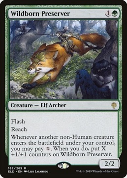 MtG: Wildborn Preserver (ELD)