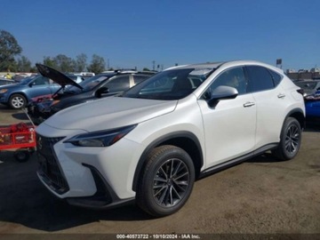 Lexus NX II 2024 Lexus NX 350H 2024 2.5l 2.5 Hybryda 189KM, zdjęcie 1