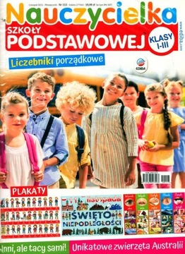 Учитель начальных классов 11 ноября 2021 г.