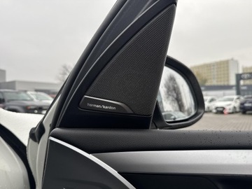 BMW X3 G01 SUV 2.0 20i 184KM 2018 BMW X3 xDrive20i GPF Luxury Line G01 (2017-) xDriv, zdjęcie 16