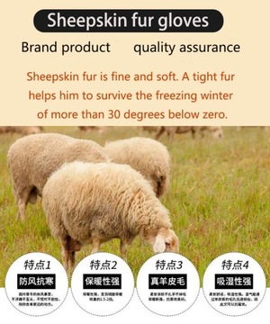 Варежки из овчины, женские кожаные, шерстяные, зимние, теплые, утепленные