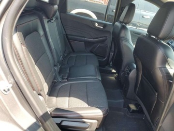 Ford Escape III 2024 Ford Escape ST Line 2024 1.5l 1.5 Benzyna 180KM, zdjęcie 11