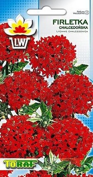 FIRLETKA CHALCEDOŃSKA czerwona nasiona kwiaty 0,5g