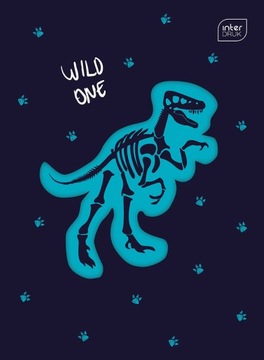 Zeszyt A5 16 Kartek Linia Podwójna Interdruk