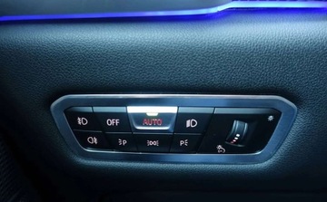 BMW X5 G05 SUV 2.0 25d 231KM 2020 BMW X5 xDrive 25d 231KM M-pakiet Salon PL 1 wlasciciel Faktura VAT Bezwypa, zdjęcie 31