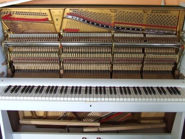 Фортепиано Steinway & Sons mod V белое, черное?